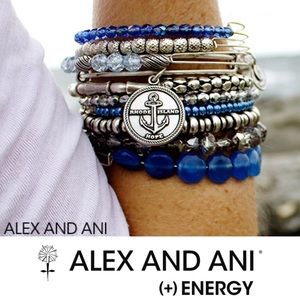 New ✨ Alex and Ani Rhode Island Hope Bracelet